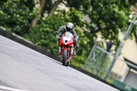 PJ-Motorsport-Photography-2020;anglesey;brands-hatch;cadwell-park;croft;donington-park;enduro-digital-images;event-digital-images;eventdigitalimages;mallory;no-limits;oulton-park;peter-wileman-photography;racing-digital-images;silverstone;snetterton;trackday-digital-images;trackday-photos;vmcc-banbury-run;welsh-2-day-enduro
